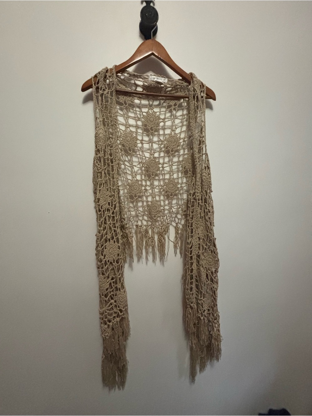 Say What? Crochet Open-Weave Fringe Vest in Cream